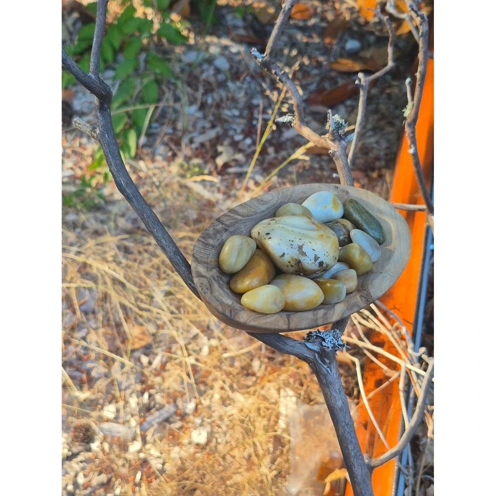 Handcrafted Rustic Olive Wood Oval Bowl w/ PNW Carnelian Agates & Yellow Jasper